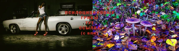 не бодяженный Богородицк