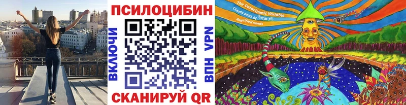 Галлюциногенные грибы Cubensis Новороссийск